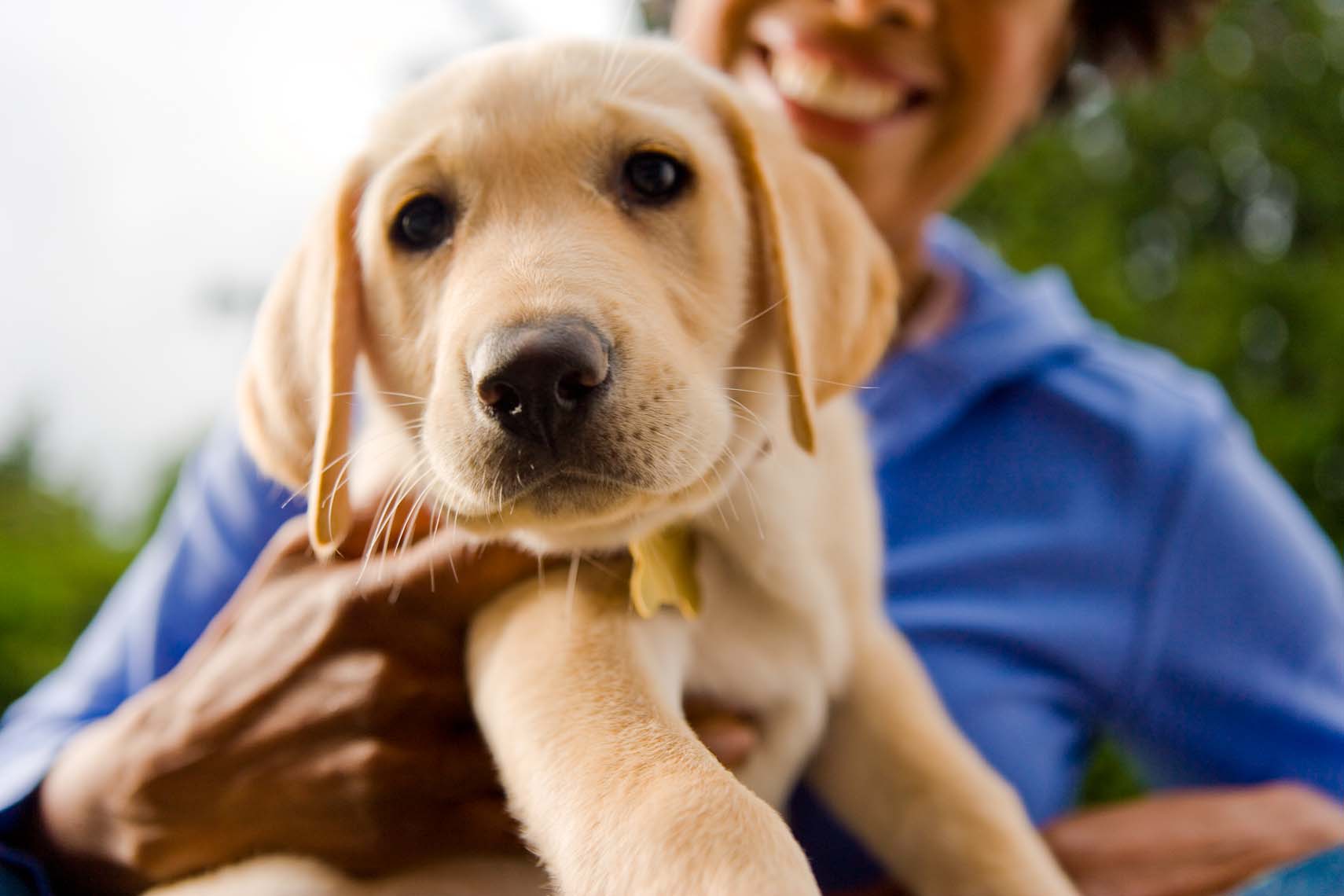 2007_0605_PETS_4883.jpg
