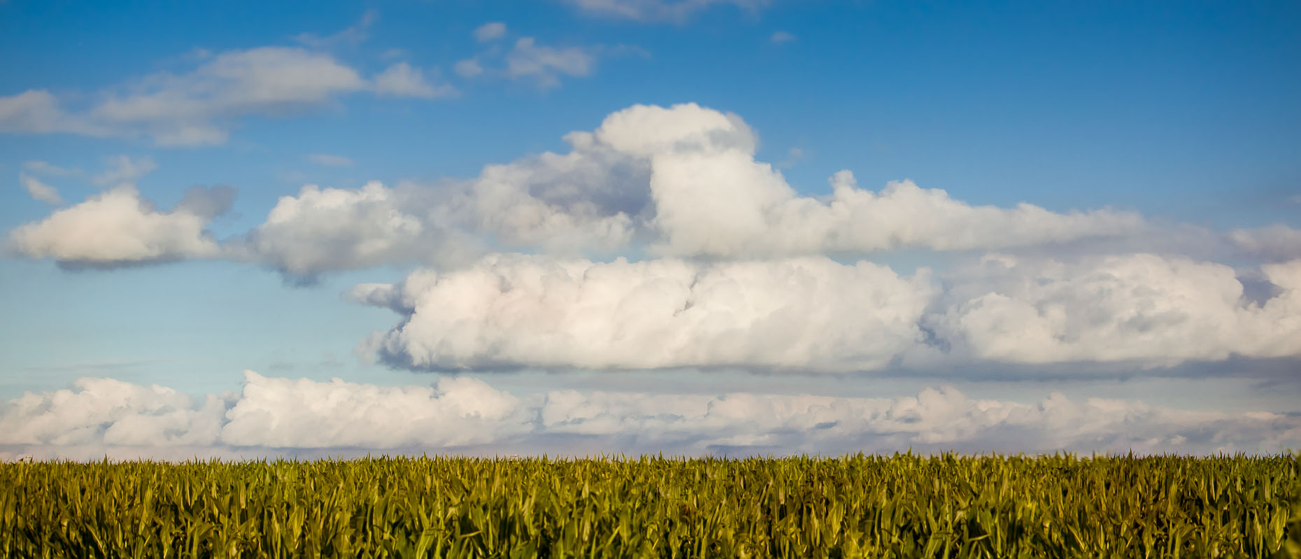 2011_0712_FCSA_B0475-2.jpg