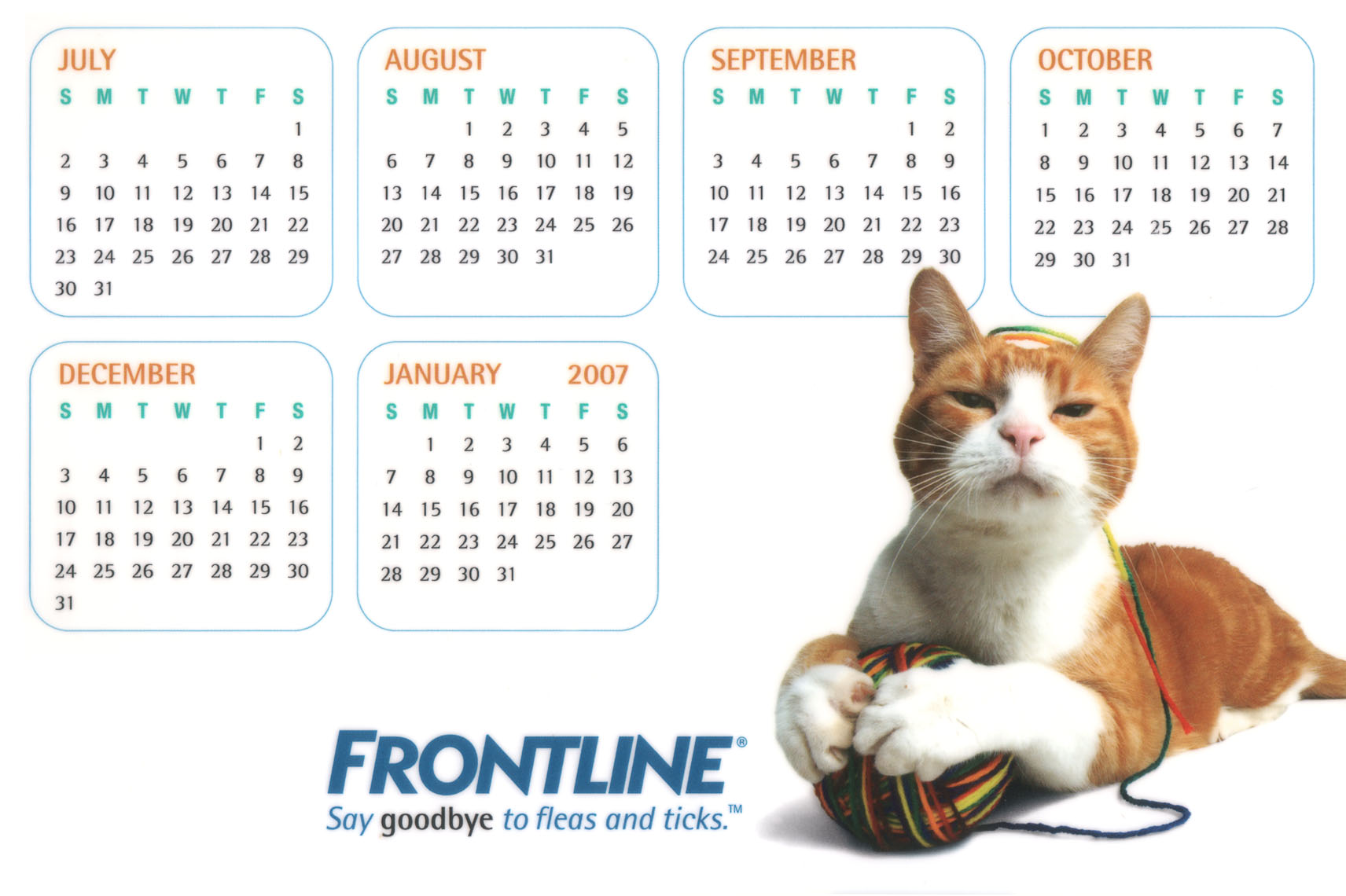 Frontline-cal.jpg