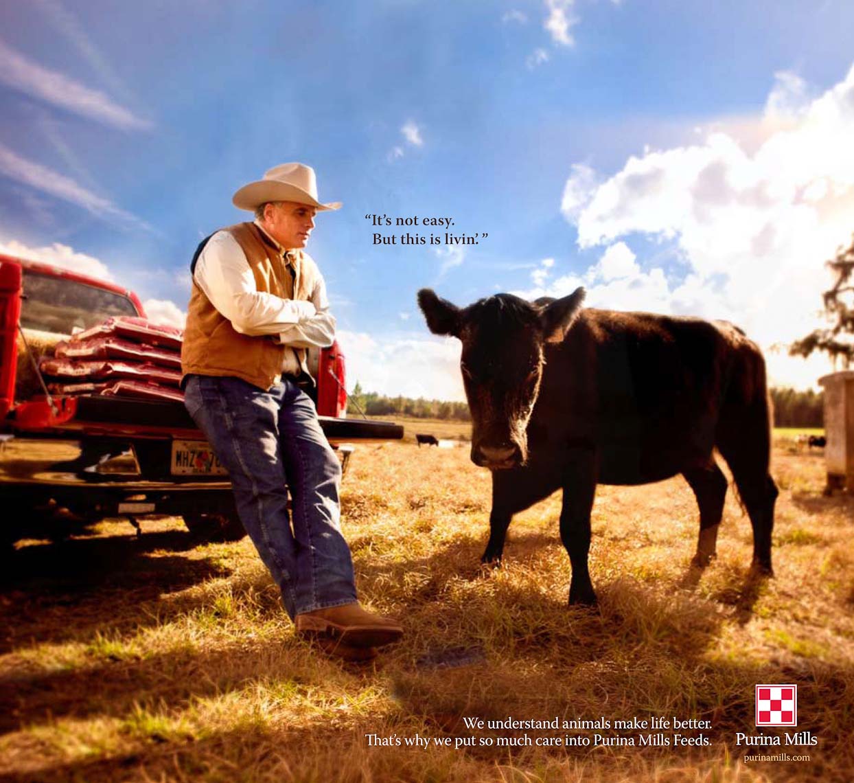 Purina_cattle_printad-2.jpg